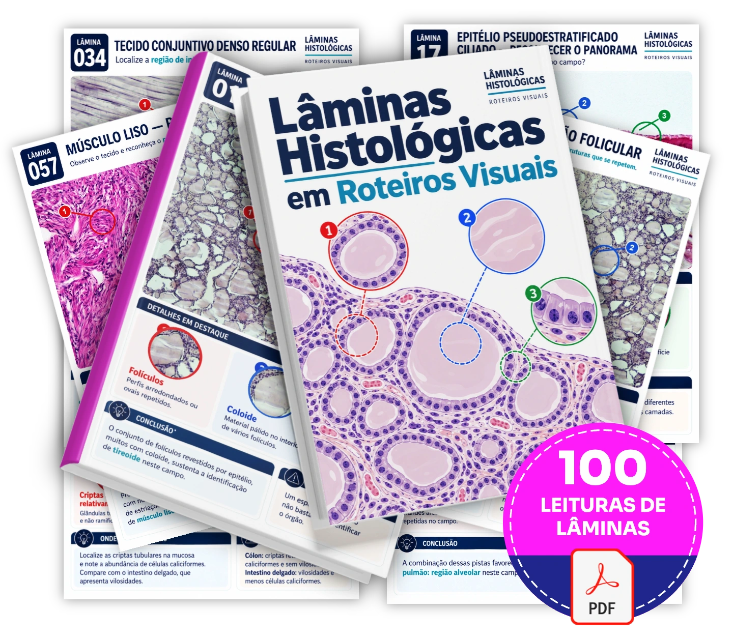 Acesso Vitalício